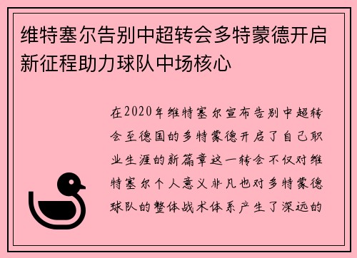 维特塞尔告别中超转会多特蒙德开启新征程助力球队中场核心